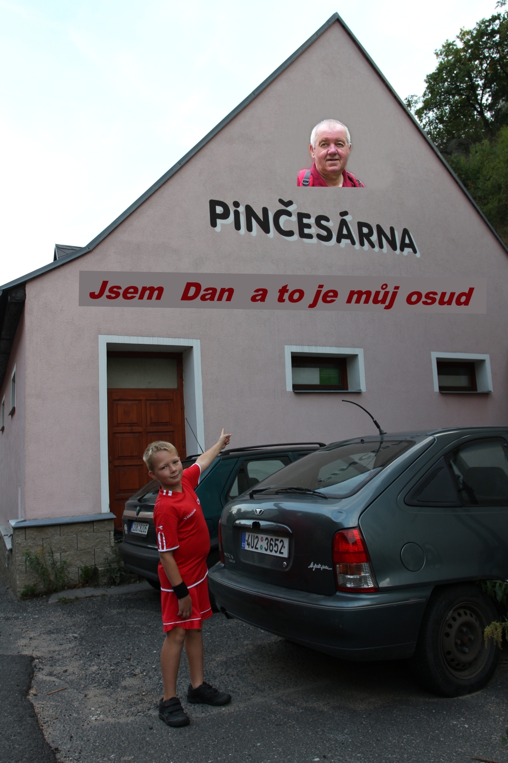 pin zmenšený